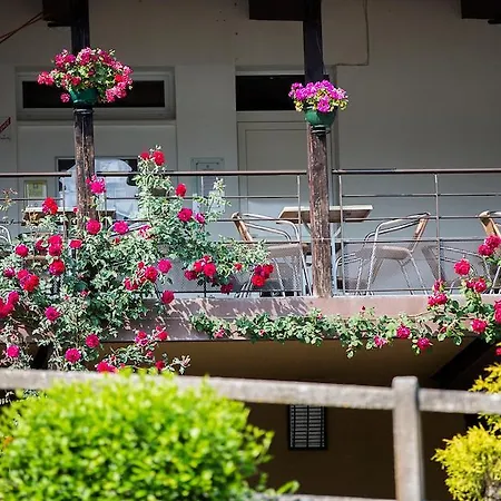 Hotel Belle Vue 3*